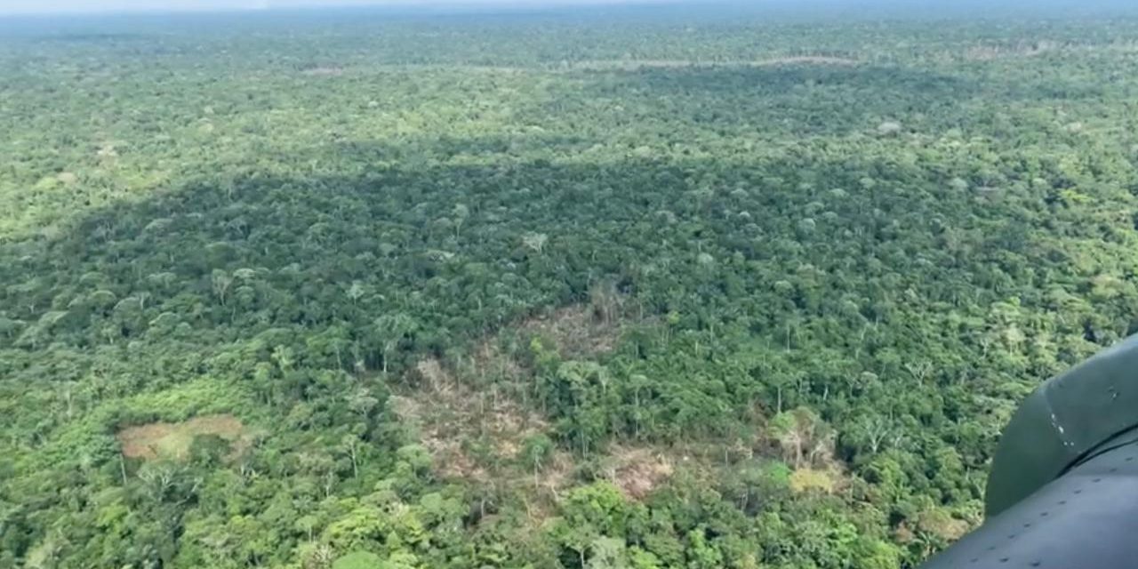 Duro golpe a deforestadores en Guaviare