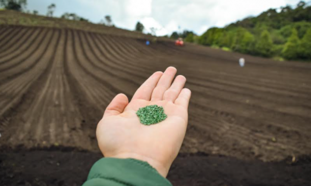 La importancia de implementar un modelo agro-empresarial para la reactivación económica