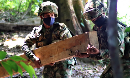 Ejército ataca ilícito aprovechamiento de los recursos naturales renovables en El Guaviare