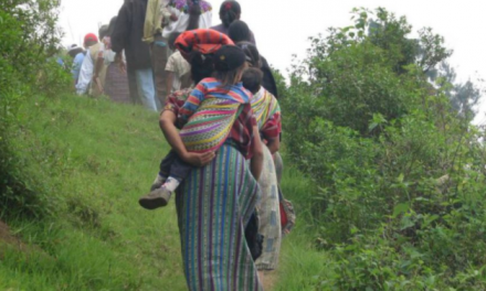 Amparan derechos al territorio de comunidades indígenas en Antioquia