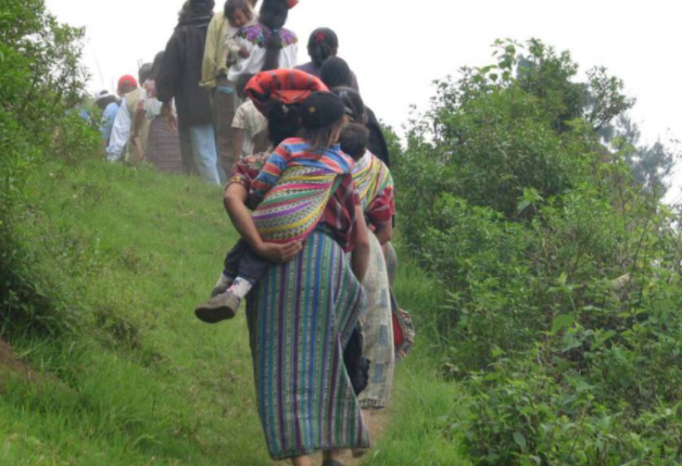 Amparan derechos al territorio de comunidades indígenas en Antioquia
