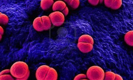 Información y prevención: la base para protegerse contra el meningococo