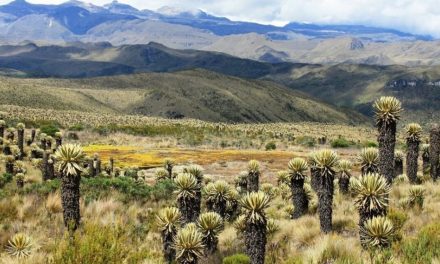 Profunda deliberación por la defensa de los páramos