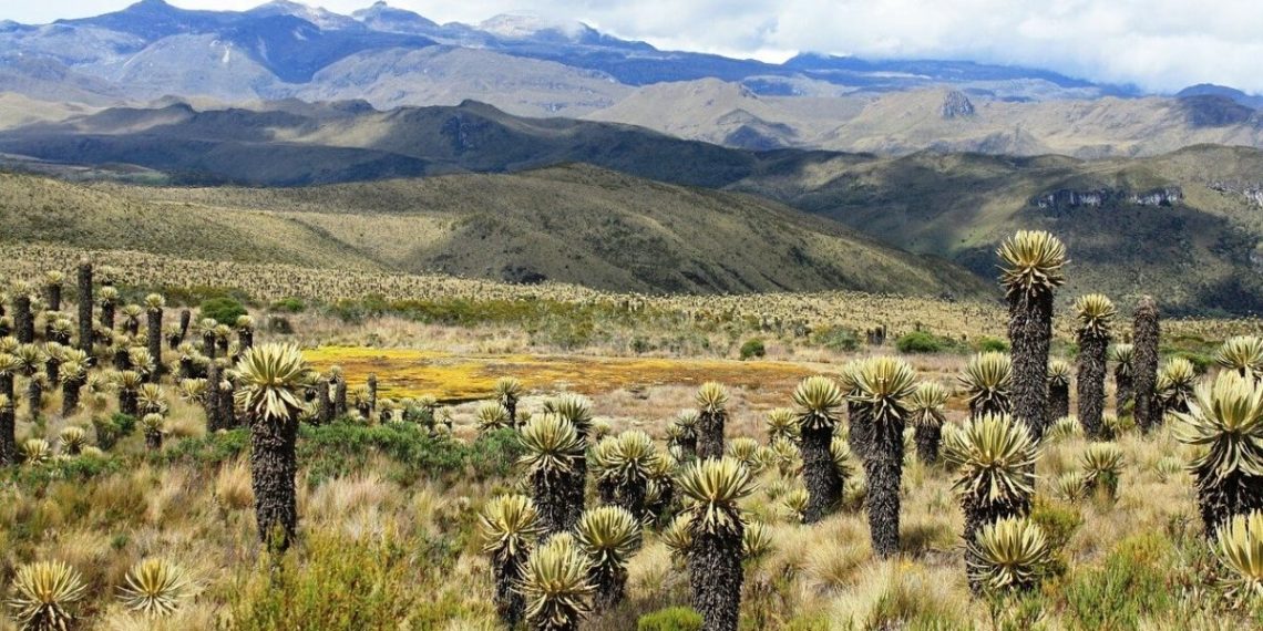 Profunda deliberación por la defensa de los páramos
