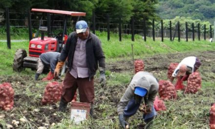 Comisión Quinta de Cámara escuchó en audiencia pública a sectores agropecuarios afectados por el paro