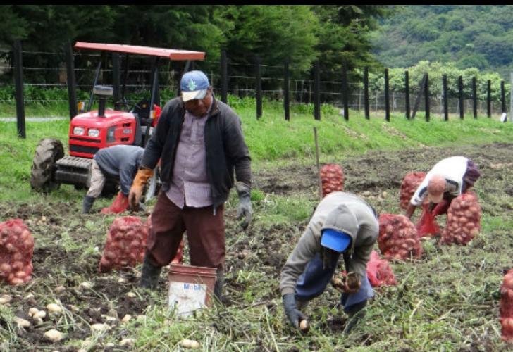 Comisión Quinta de Cámara escuchó en audiencia pública a sectores agropecuarios afectados por el paro