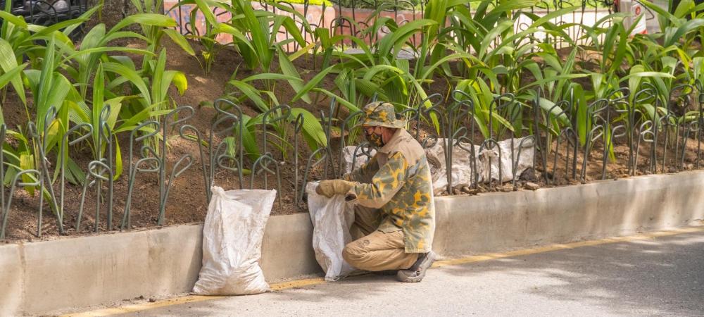 Zonas verdes de Medellín serán cuidadas por expertos del Jardín Botánico