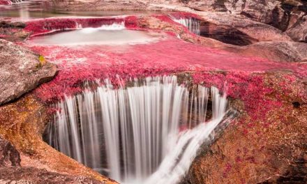 El Caño Cristales reabre sus puertas para todos los turistas