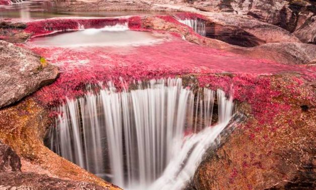 El Caño Cristales reabre sus puertas para todos los turistas