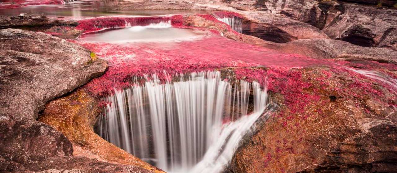 El Caño Cristales reabre sus puertas para todos los turistas