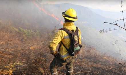 La Alcaldía de Medellín entrega recomendaciones para evitar incendios forestales en la temporada seca