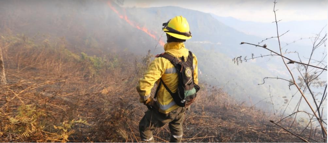 La Alcaldía de Medellín entrega recomendaciones para evitar incendios forestales en la temporada seca