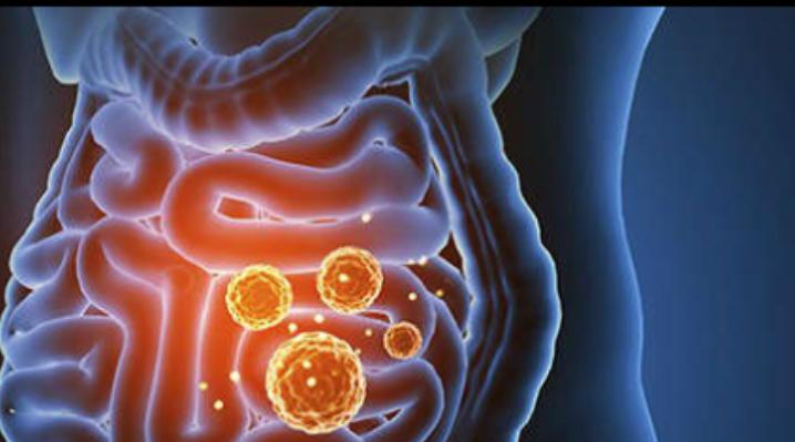 Una microbiota intestinal equilibrada puede ayudar a contrarrestar algunos efectos del COVID-19