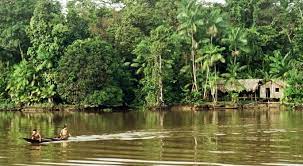 Queda definido el Plan de Reactivación Económica para el Amazonas