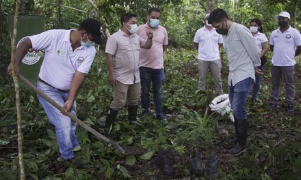 Se iniciará proyecto que beneficiará a 4000 familias rurales en zonas de frontera forestal