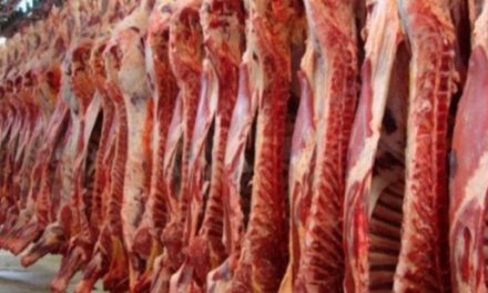 Tres nuevos establecimientos colombianos exportarán carne bovina a Emiratos Árabes Unidos