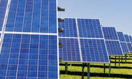 Con la inauguración granja solar el carmelo se sanciona ley de transición energética