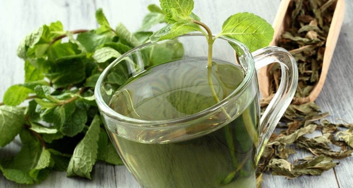 Estos son los 4 efectos secretos de beber té verde