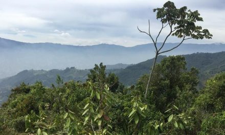 Propietarios de predios rurales en Medellín recibirán incentivos económicos por la conservación de fuentes hídricas