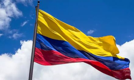 Proponen 30 líneas de acción para posicionar a Colombia en el mercado mundial