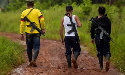 Autoridades incautan alcaloides de la disidencias de las FARC valorizados por más de 16 millones de dólares