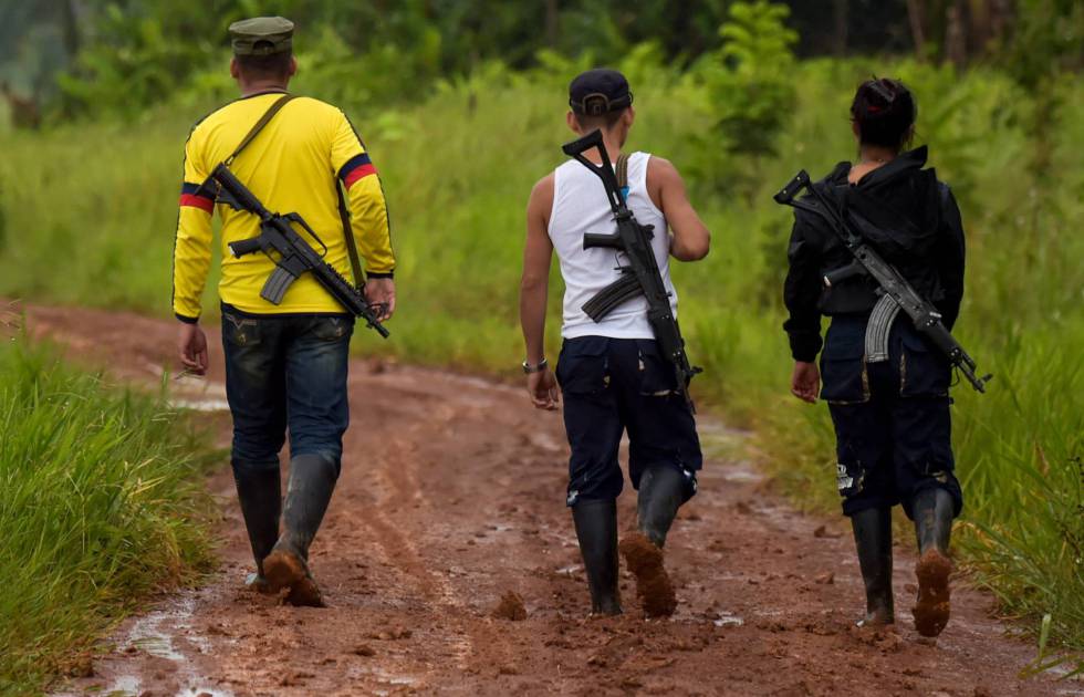 Autoridades incautan alcaloides de la disidencias de las FARC valorizados por más de 16 millones de dólares