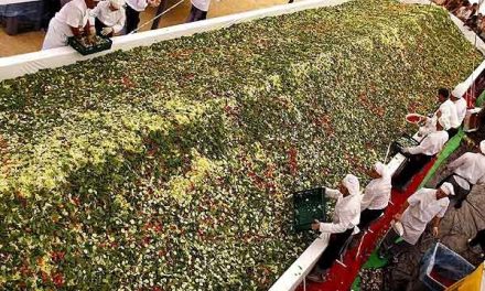 Festival ruso busca romper récord de Guinness con la ensalada más grande del mundo