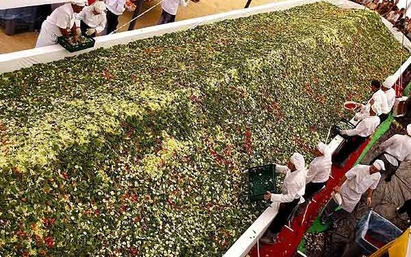 Festival ruso busca romper récord de Guinness con la ensalada más grande del mundo