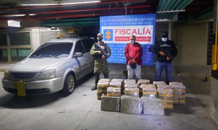 Golpe a la delincuencia en el Valle de Aburrá: Capturado hombre con 250 kilogramos de marihuana