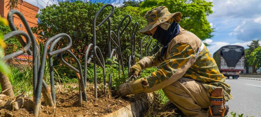 Ciudad verde: Más de 3.300 árboles han sido sembrados durante este año en Medellín