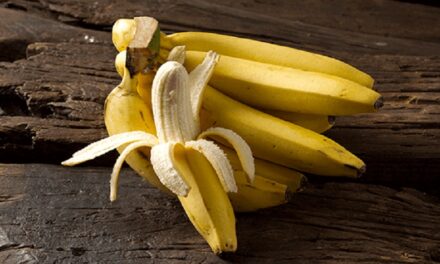 Conozca las ventajas y desventajas de comer banano todos los días