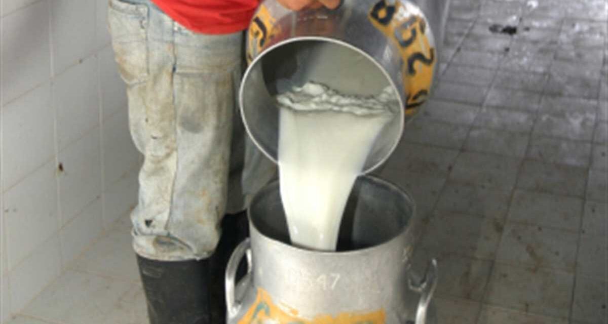 ¿Hay desasbatecimiento de leche en el país? Esto fue lo que dijo MinAgricultura al respecto