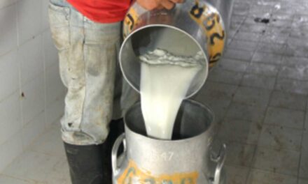 ¿Hay desasbatecimiento de leche en el país? Esto fue lo que dijo MinAgricultura al respecto