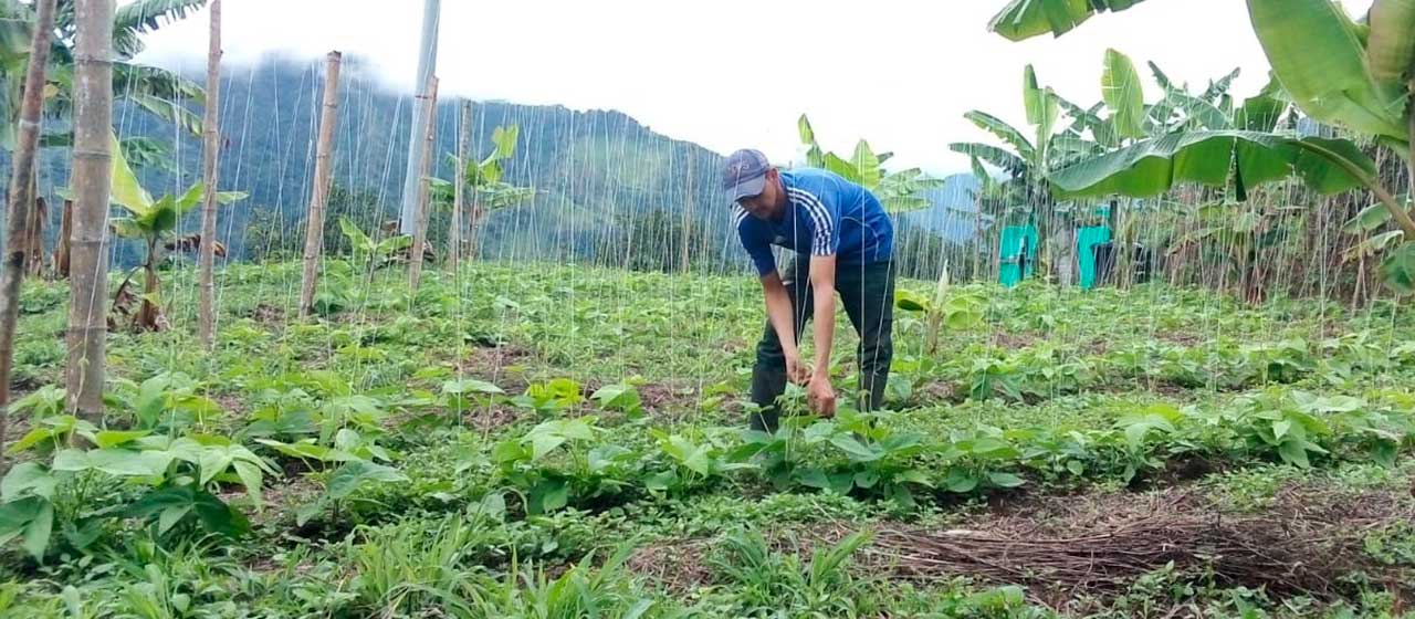 Duque sancionó Ley de Insumos Agropecuarios, que apoya a pequeños y medianos productores