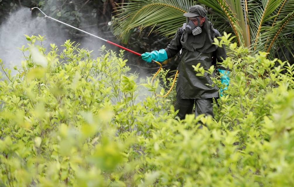 Fumigación con glifosato en Putumayo representaría un atentado