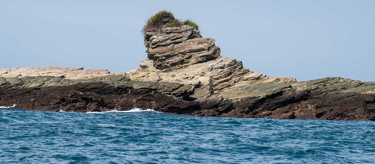 En Gorgona se adelantará nuevo capítulo de ‘Operación Artemisa’ para proteger los mares colombianos