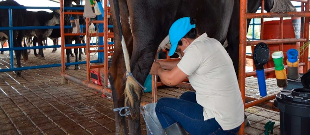 Buena noticia: Colombia ahora exportará leche y productos lácteos a Israel