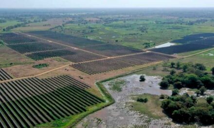 Entregan planta solar de ‘La Sierpe’, en Sucre, que evitará emisión de 18.000 toneladas de CO2 cada año