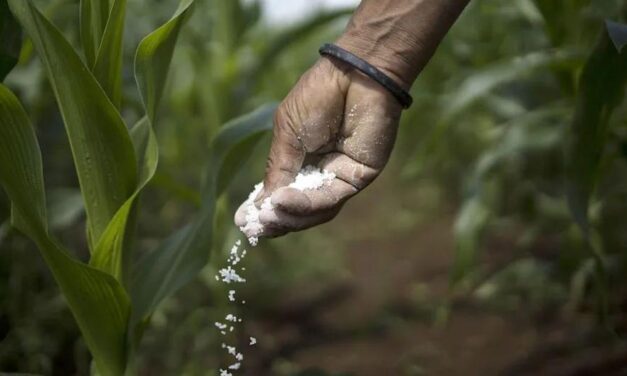 «Sanción a Rusia es un golpe duro al agro colombiano», Rodolfo Correa, presidente de Consa
