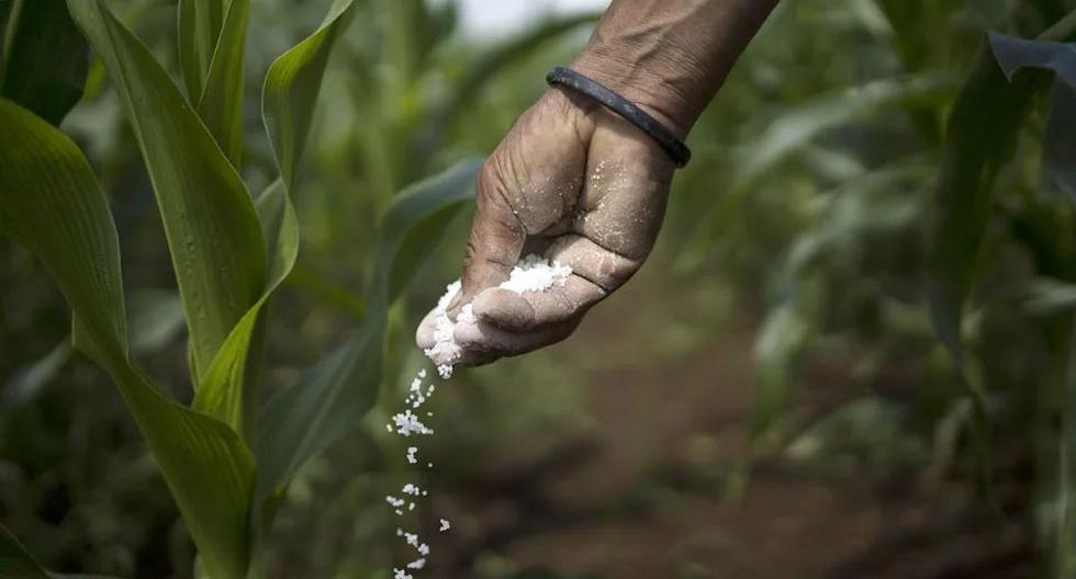 «Sanción a Rusia es un golpe duro al agro colombiano», Rodolfo Correa, presidente de Consa