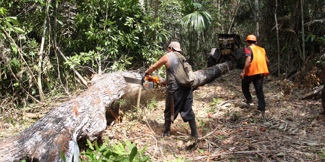 Atención, Cuatro soldados retenidos en Guaviare por deforestadores