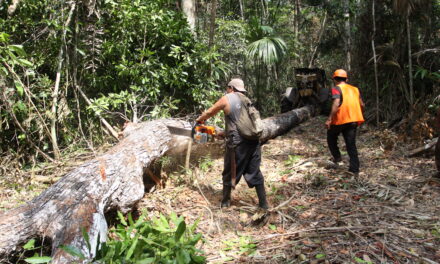Atención, Cuatro soldados retenidos en Guaviare por deforestadores