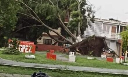 Emergencia en Cali por torrencial aguacero: Este es el reporte de los organismos de socorro