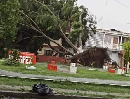 Emergencia en Cali por torrencial aguacero: Este es el reporte de los organismos de socorro