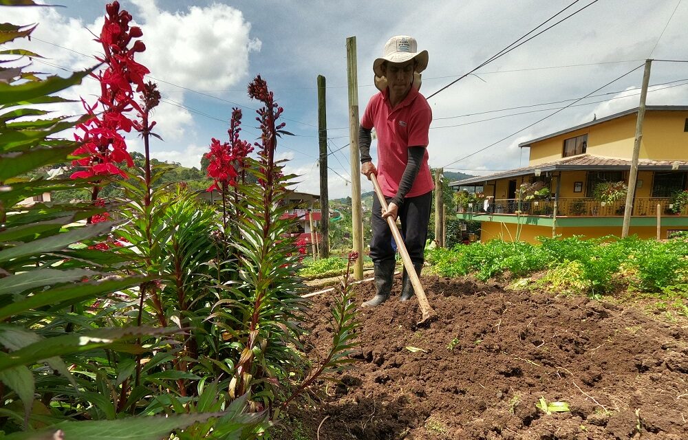 Con más de $13.800 millones de inversión, cerca de 2.800 productores rurales de Medellín fortalecerán sus unidades productivas
