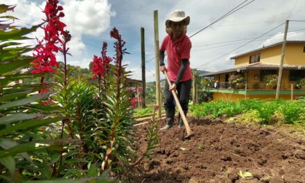 Con más de $13.800 millones de inversión, cerca de 2.800 productores rurales de Medellín fortalecerán sus unidades productivas