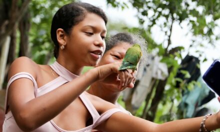 MinTic premiará a Jóvenes que hagan microdocumentales de como sueñan a Colombia