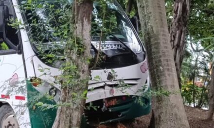 Buseta de transporte escolar se accidenta en el norte de Cali