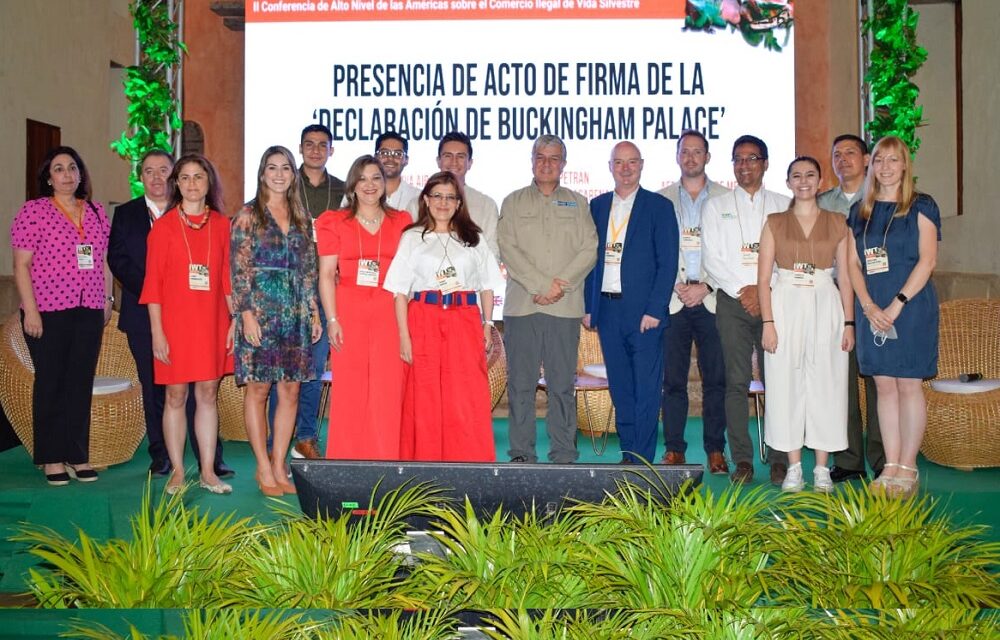 Aeropuerto de Cartagena lucha contra el comercio ilegal de la vida silvestre: intensos operativos de control