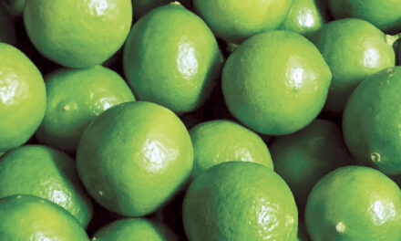 El limón Tahití tuvo unas jugosas exportaciones en los cuatro primeros meses del año: ojo al positivo balance